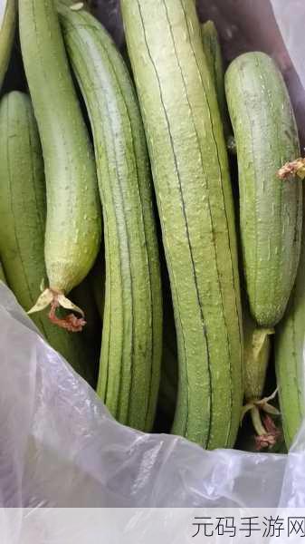 草莓绿巨人丝瓜香蕉黄瓜视频大全:1. 草莓绿巨人带你探索丝瓜的美味世界