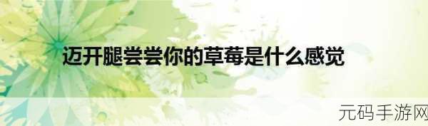 迈开腿让老师尝尝你的森林:1. 迈开腿,体验森林探险的无限魅力