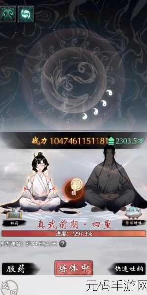 一念逍遥完美飞升全攻略,解锁仙界新篇章