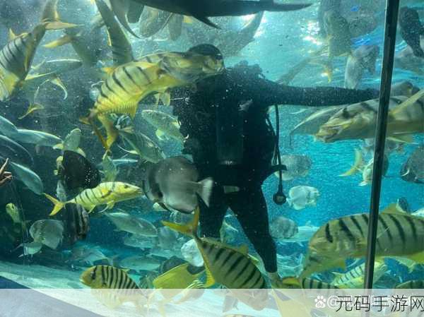 不思议迷宫探索深海奥秘,鱼人冈布奥海洋之心装束获取全攻略