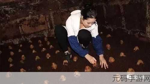 黑料网独家爆料曝光揭秘:1. "黑料网独家揭秘,真相背后的不为人知的故事