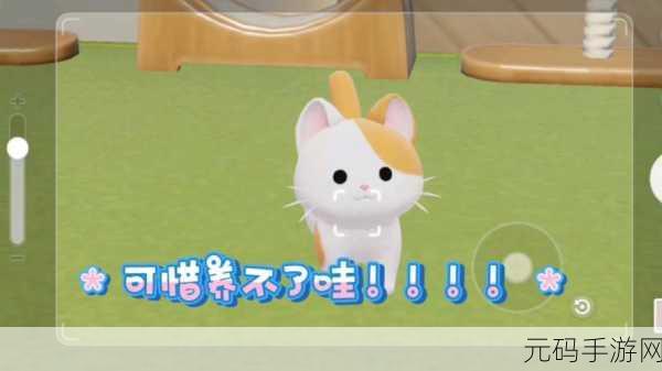 心动小镇，萌宠小猫咪的奇妙寻觅之旅
