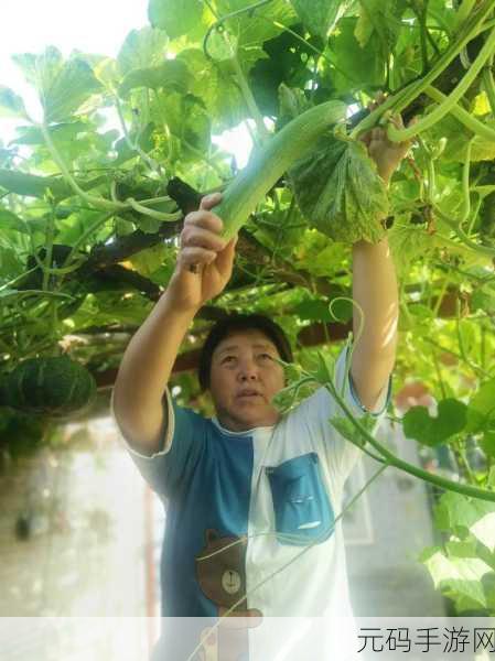 草莓丝瓜榴莲秋葵黄瓜：1. 清新夏日：草莓丝瓜榴莲秋葵黄瓜的健康搭配