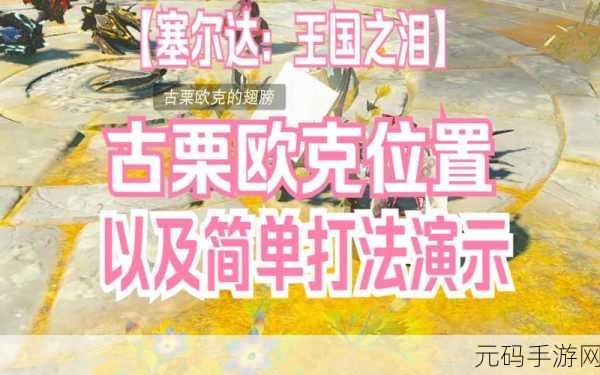 塞尔达传说王国之泪，获取粉色马的终极秘籍