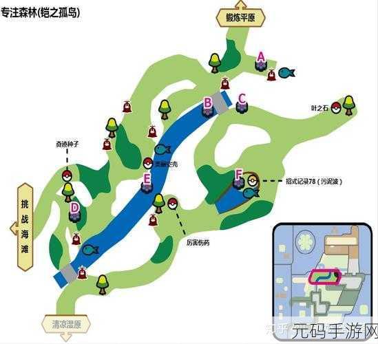 宝可梦大探险，阴湿森林 2-1 完美通关秘籍