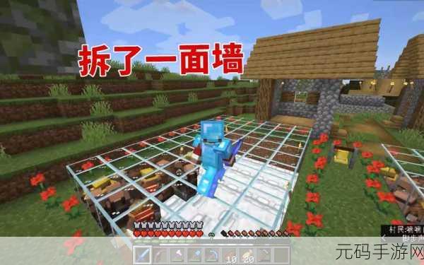 我的世界，揭秘村庄生存条件的奇幻冒险