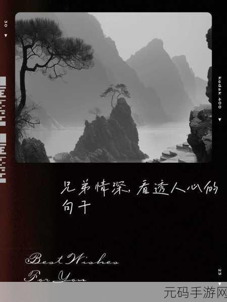 4ph兄弟默契:1. 兄弟情深:四人默契的力量与奇迹