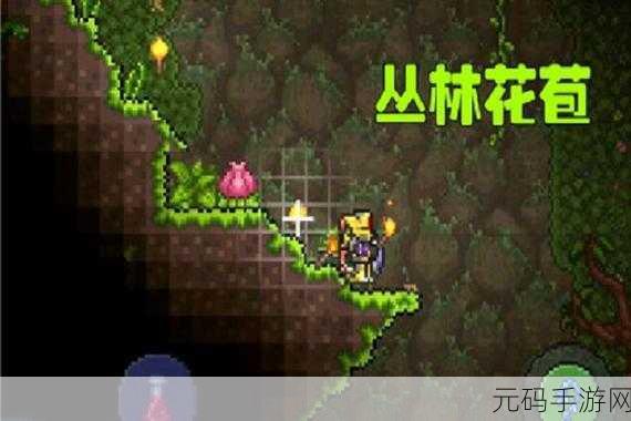 泰拉瑞亚探险指南，揭秘世纪之花花苞的高效搜寻策略