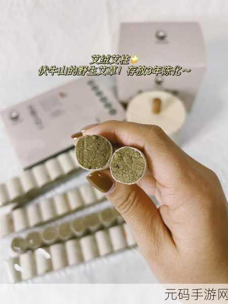 绑定挨草系统后:1. 解析绑定挨草系统的核心功能与应用