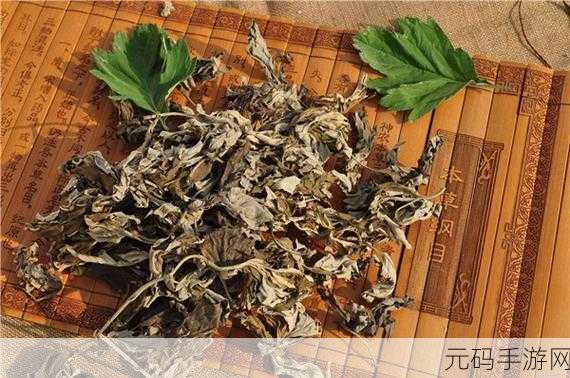绑定挨草系统后:1. 解析绑定挨草系统的核心功能与应用