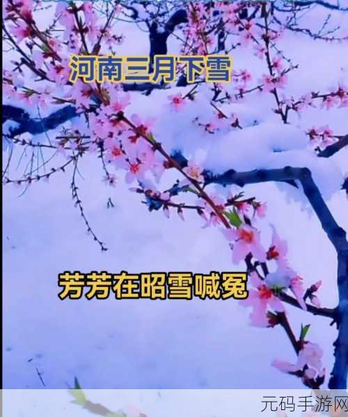 女生说痛果生还往里寒：1.痛果生还：她在寒冷中重拾自我