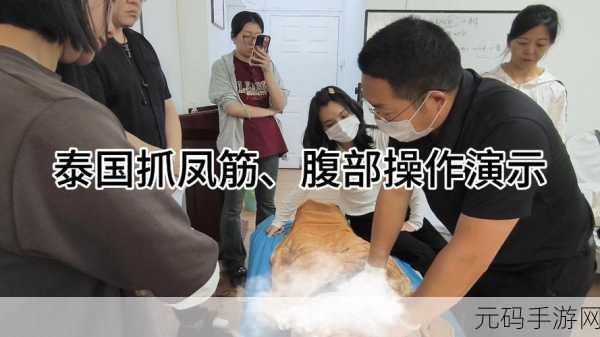 麻花传MD0190苏畅抓凤筋：1. 苏畅抓凤筋：探秘麻花传的绝技