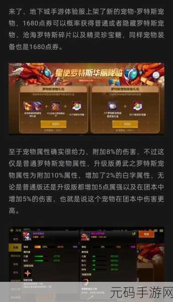 DNF 回归玩家必读，全新专属宠物震撼登场，冒险重启攻略指南
