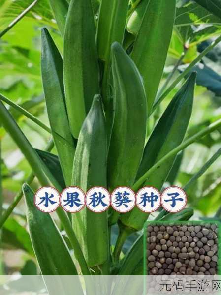 绿巨人污秋葵草莓黄瓜荔枝丝瓜在线观看将免费：1. 绿巨人带你探索秋葵与草莓的奇妙结合