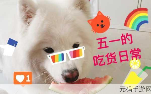 五一吃瓜网站官网入口：1. 五一吃瓜网站：畅享美味，快乐无穷的聚会选择