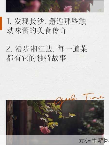饥饿的阿䧅HD:1. 《饥饿的阿䧅:寻找失落美食之旅