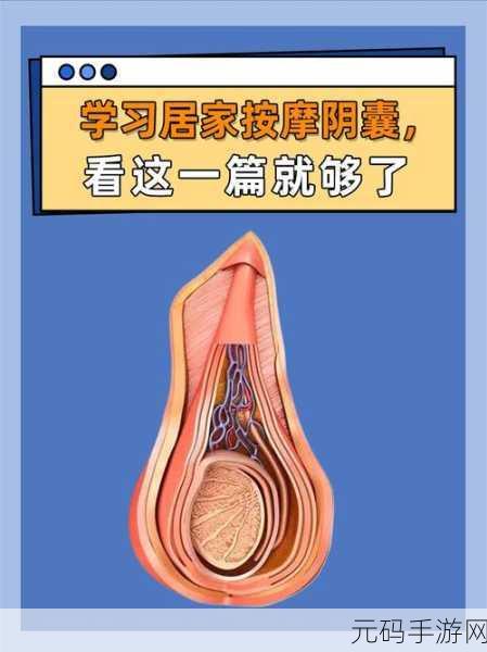和女朋友在一起睾丸胀痛特别难受:1. "如何应对与女友亲密时睾丸胀痛的烦恼