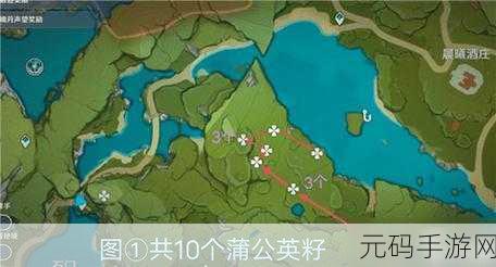原神蒲公英籽刷新机制全解析,探索与期待的奇妙之旅