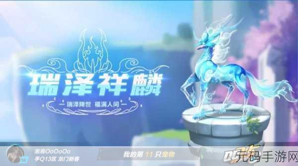 QQ飞车手游宠物对决，熊星人与猫头鹰，谁才是赛道上的最佳拍档？
