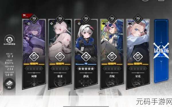 雷索纳斯冰隐斩裂队,阵容深度剖析与实战策略揭秘