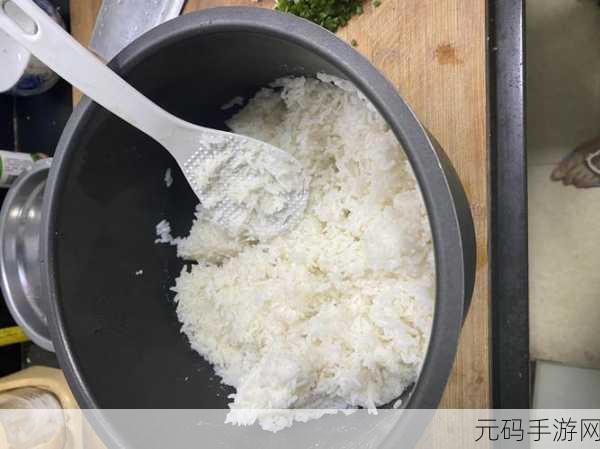 幻塔美食探索，蛋炒饭食谱揭秘与材料获取全攻略