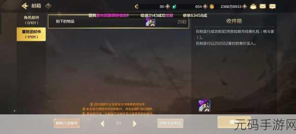 DNF韩服手游导师套风靡拍卖行，交易规则与价格走势揭秘