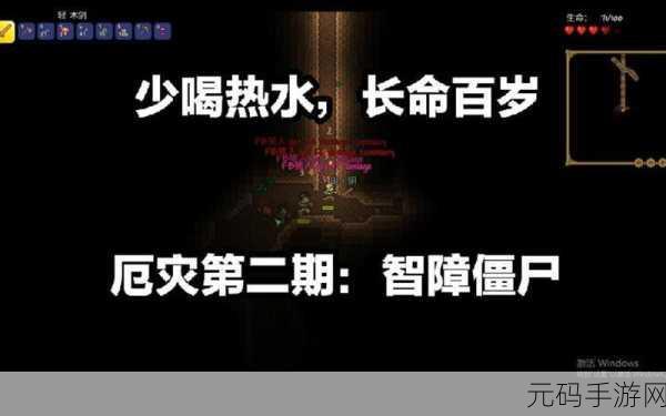 泰拉瑞亚珍珠木剑代码全解析,助你称霸游戏世界