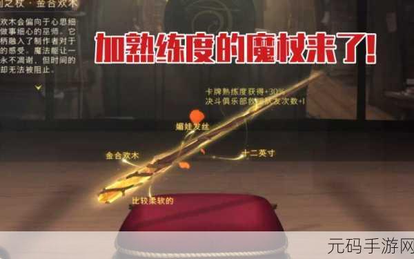 哈利波特魔法觉醒,魔杖更换全解析与实用指南
