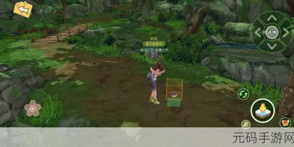 小森生活探索指南,灰羊具体位置与刷新时间全揭秘