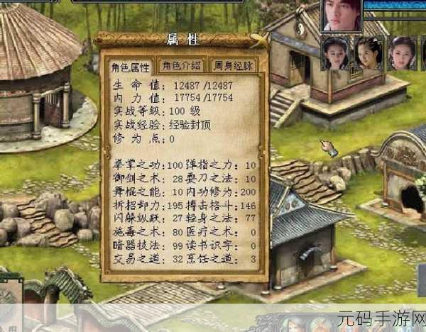 金庸群侠传3装备获取秘籍，行走江湖的必备指南