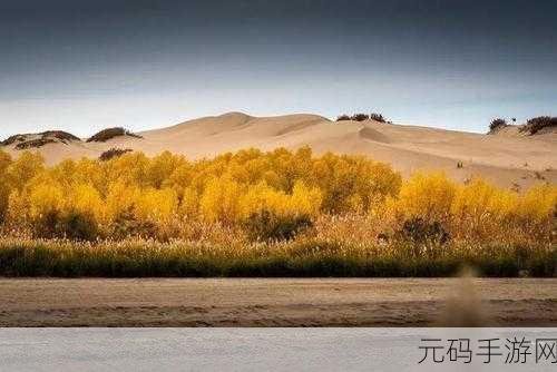 剑侠世界2观晴滩隐藏点大揭秘,绝美风光下的秘密宝藏