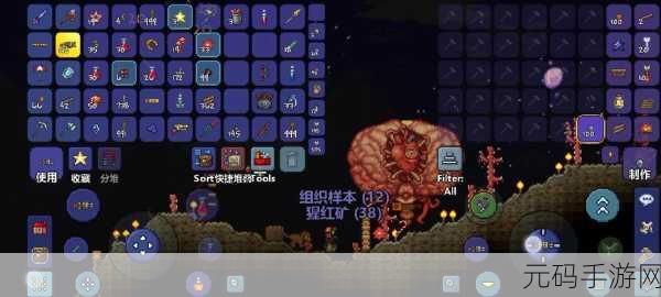 泰拉瑞亚探险新揭秘，专家模式下克苏鲁之脑掉落宝藏全解析