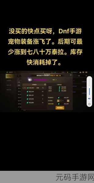 DNF阿修罗宠物选择全攻略，精准定位，战力直线飙升