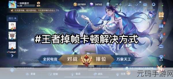 王者荣耀卡顿之谜,探寻背后的原因与解决方案