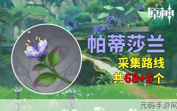 原神玩家必看,帕蒂莎兰高效收集攻略,妮露带你跑遍全图