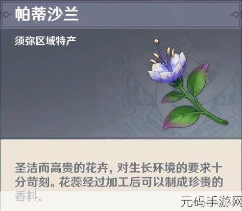 原神玩家必看,帕蒂莎兰高效收集攻略,妮露带你跑遍全图