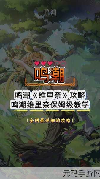 鸣潮公测风暴来袭,充值返利全攻略,解锁游戏收益最大化秘籍