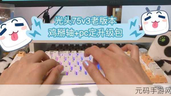 火影忍者手游新星闪耀,少年奇拉比技能全解析与实战深度剖析