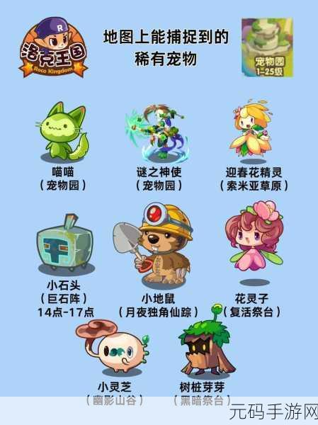 洛克王国探险指南，揭秘稀有宠物捕捉地点