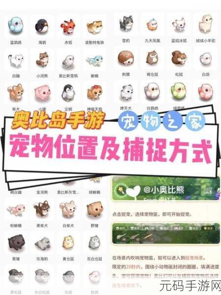洛克王国探险指南，揭秘稀有宠物捕捉地点
