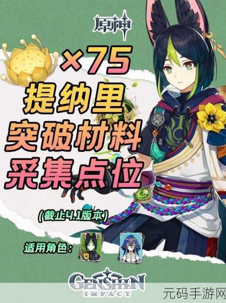 原神提纳里阵容搭配全攻略,解锁战斗新境界
