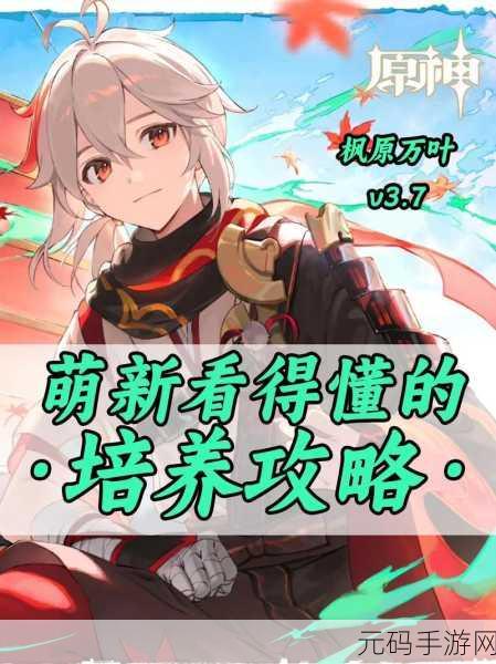 原神新角色提纳里，砂糖万叶绝佳搭档，稀有宝石获取全攻略