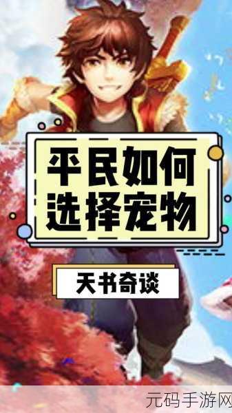 神武4神兽大熊猫加点攻略，打造无敌战斗伙伴