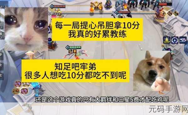 云顶之战新纪元，新手轻松上手，金铲铲小技巧助你吃鸡翻倍