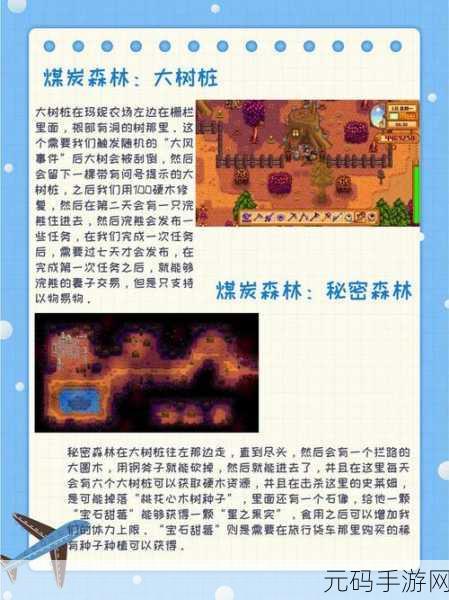 星露谷物语，解锁物品图鉴全亮的秘密攻略
