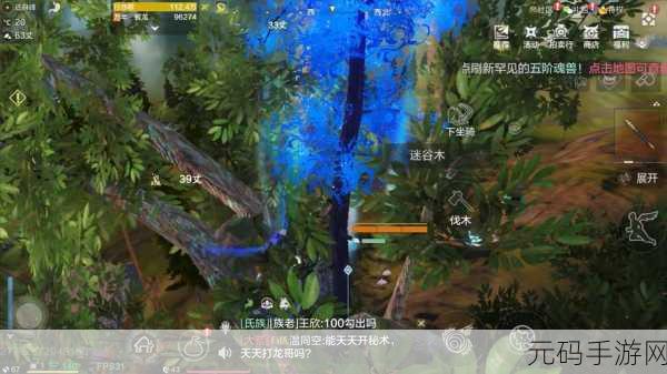 妄想山海单刷神树战力揭秘，高手玩家的挑战与荣耀
