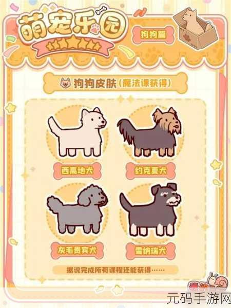 解锁休闲时光新速度,我的休闲时光快速升级秘籍
