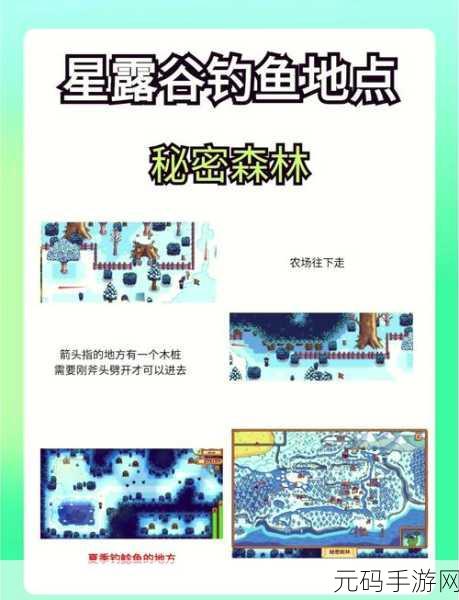 星露谷物语钓鱼季节全攻略,解锁四季鱼王的秘密