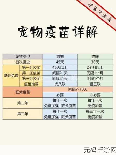 王都创世录深度探索,长期避坑指南与宠物系统全揭秘