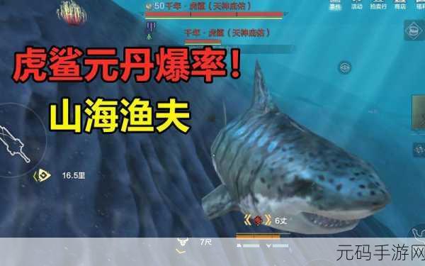妄想山海,虎鲨与雪鲸,深海巨兽的巅峰对决